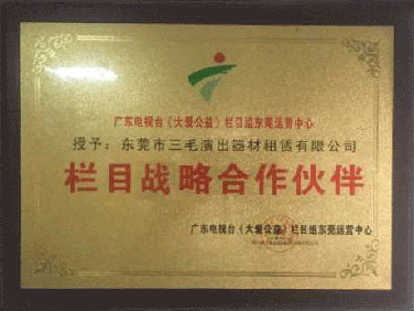 广东电视台栏目战略合...